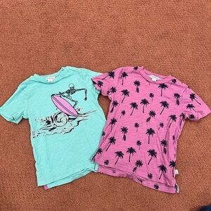 Flapdoodles Bundle of 2 Short Sleeve Graphic Tees Size 3T